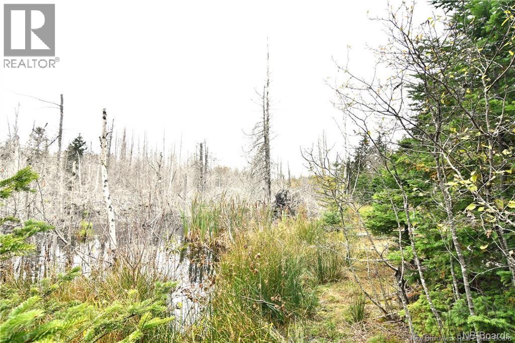 155 Hutchins Heights Road