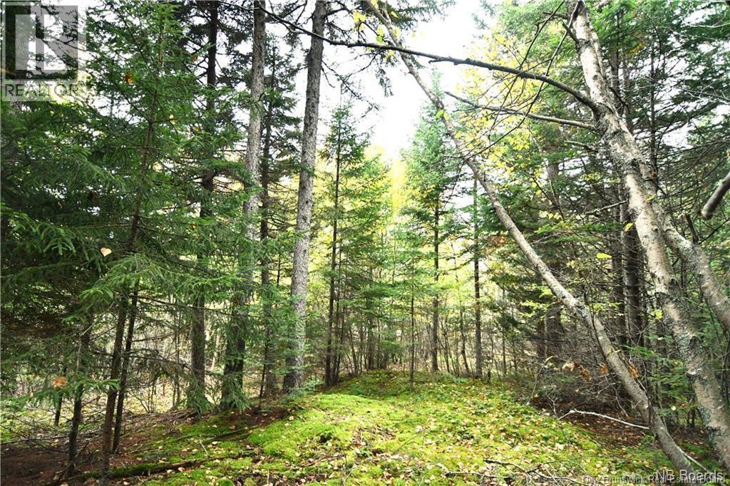 155 Hutchins Heights Road