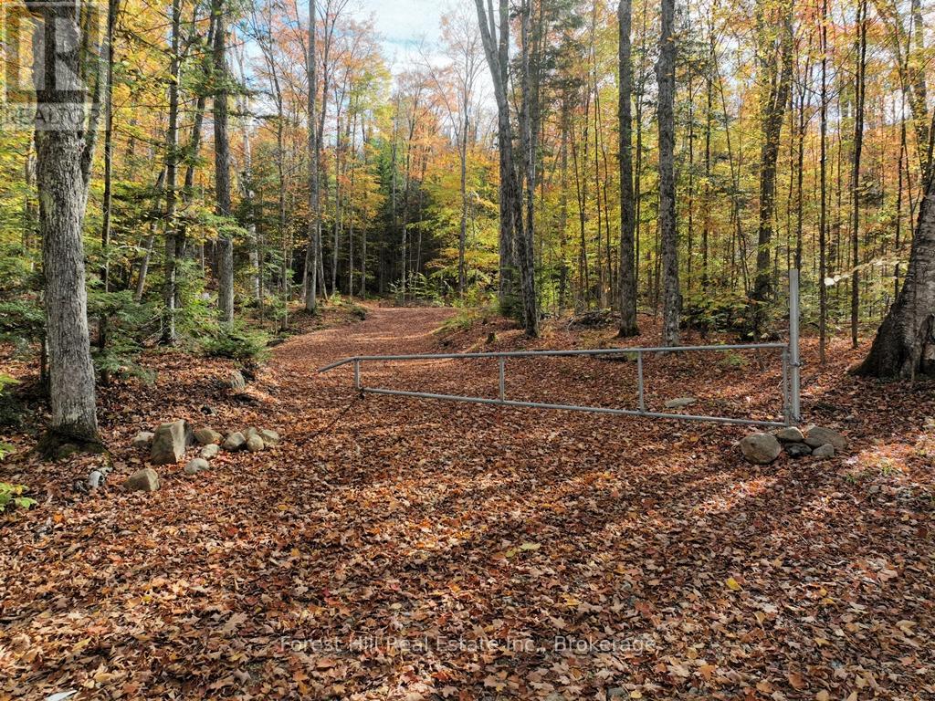 4488 KAWAGAMA LAKE ROAD