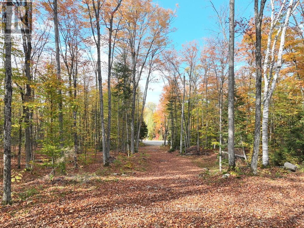 4488 KAWAGAMA LAKE ROAD