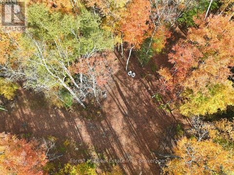 4488 KAWAGAMA LAKE ROAD Algonquin Highlands (Sherborne) ON P0A1E0