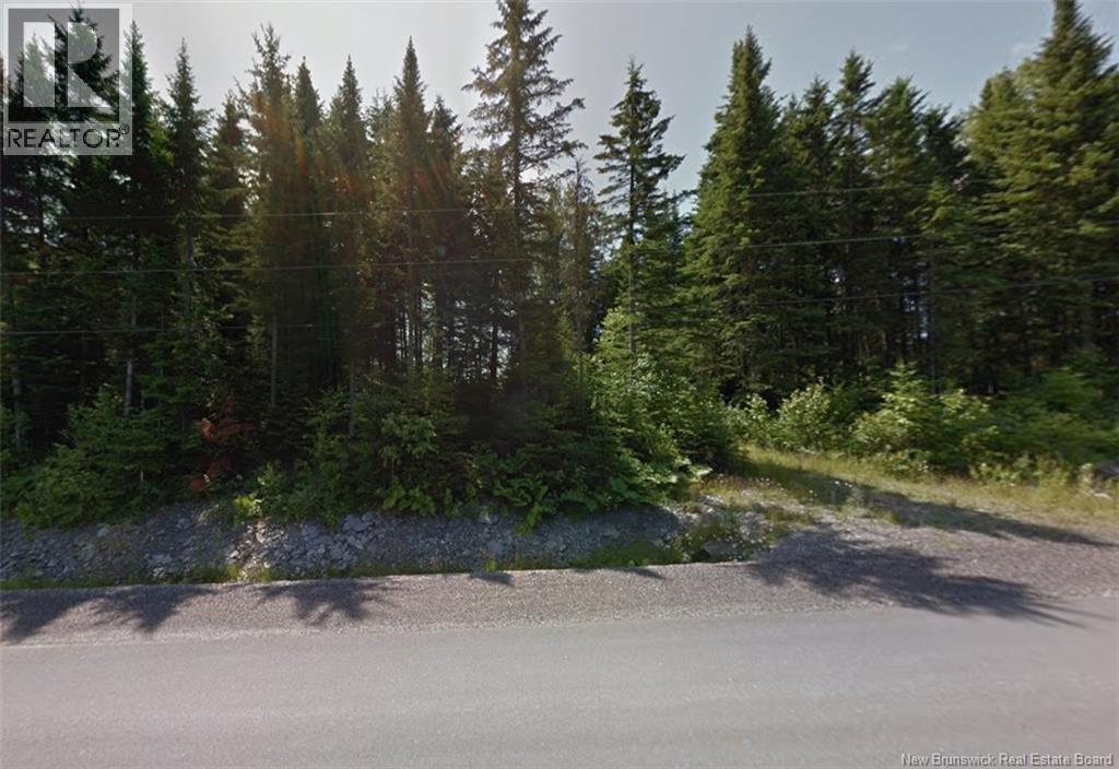 Photo 1 of 3 — Route 205, Saint-François-de-Madawaska, NB E7A1R8