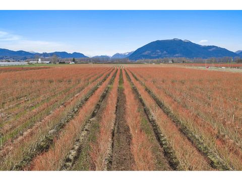 6209 LITTLE STREET Abbotsford BC V3G1P5