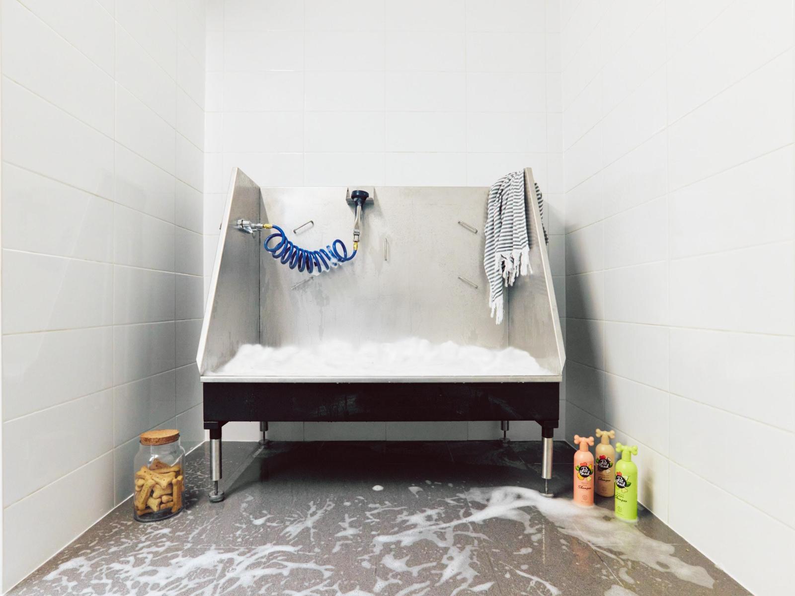 109 15730 FRASER HIGHWAY