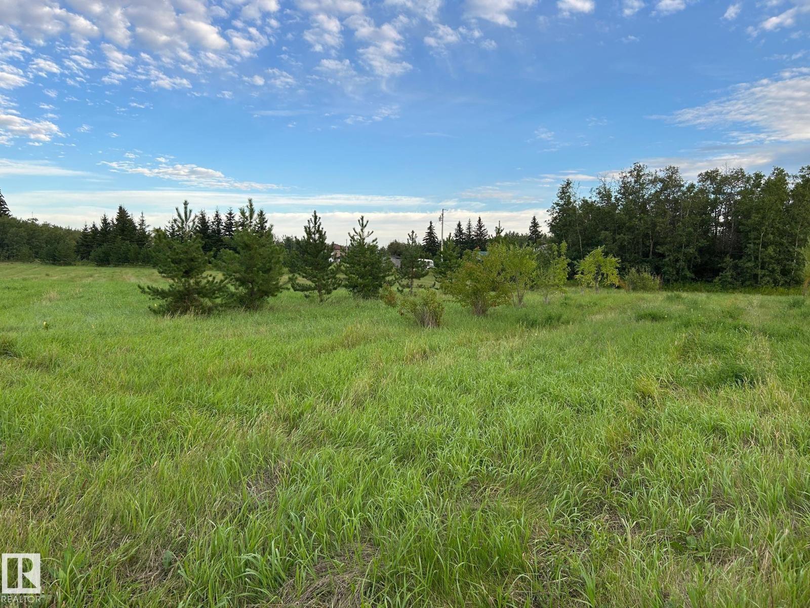 #206 23229 SH 651