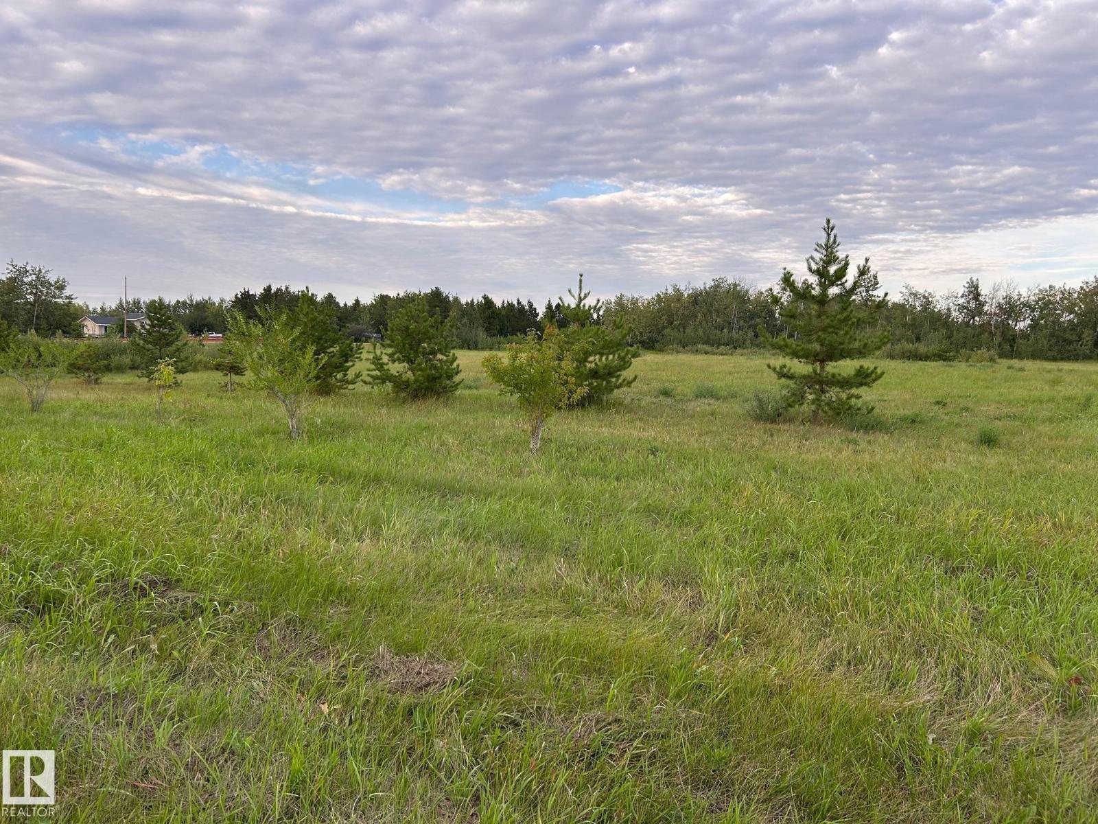 #206 23229 SH 651
