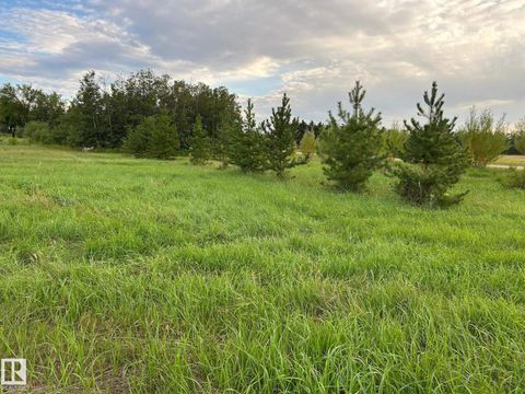 #206 23229 SH 651 Rural Sturgeon County AB T0A1N6