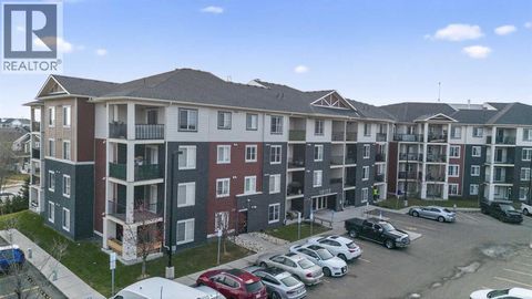 310, 18122 77 Street NW Edmonton AB T5N0N7