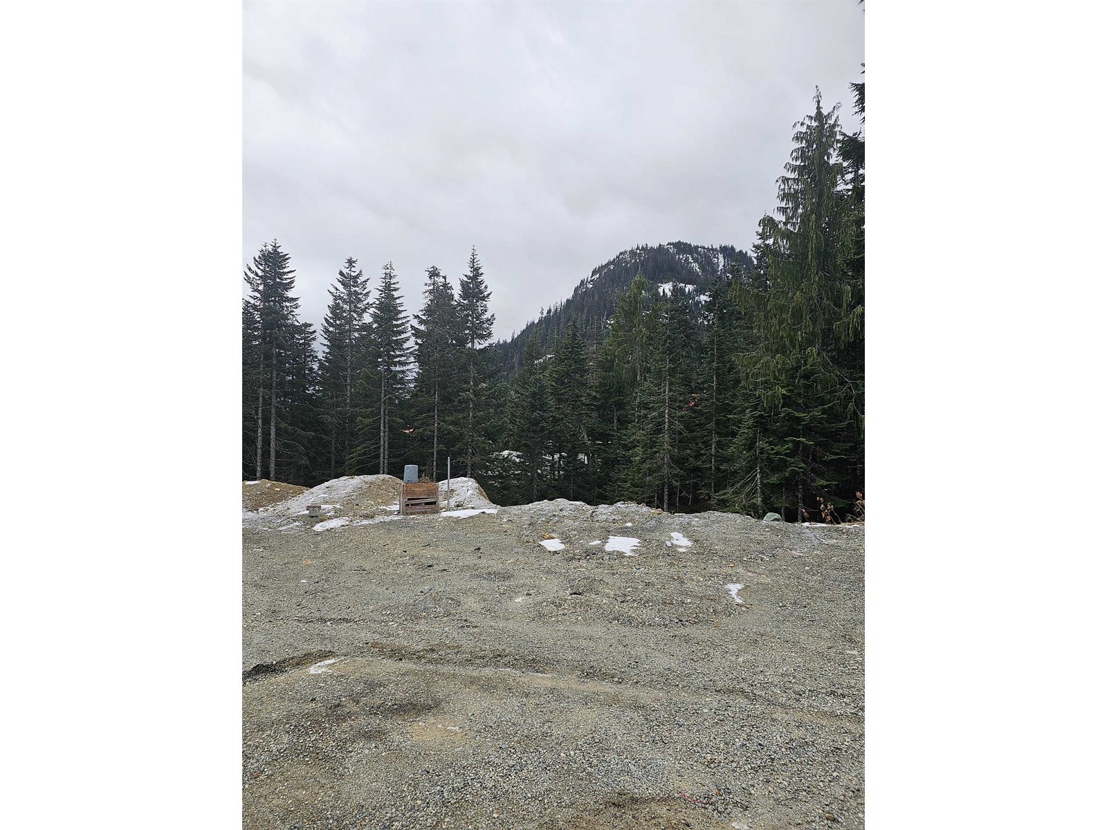 20908 SNOWFLAKE PLACE