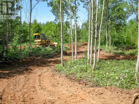 Bruce Point Road Launching PE C0A1G0