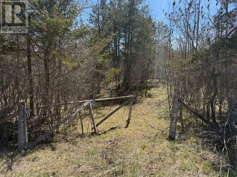 590 LOVE ROAD Loyalist (Lennox and Addington - South) ON K0H2H0