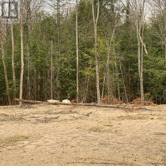 5 MOUNTAIN BASIN DRIVE