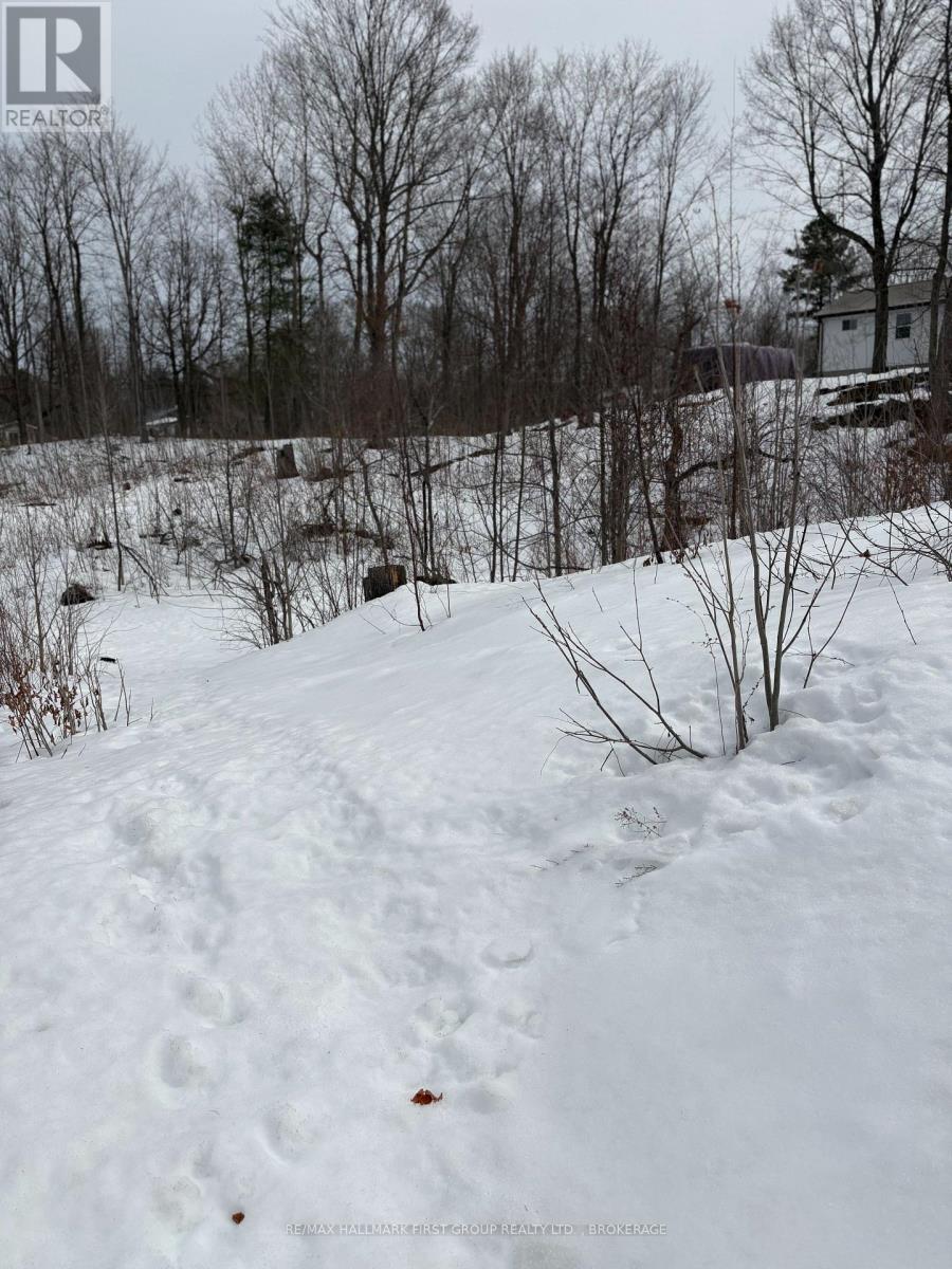 LOT 0 COUNTY ROAD 38