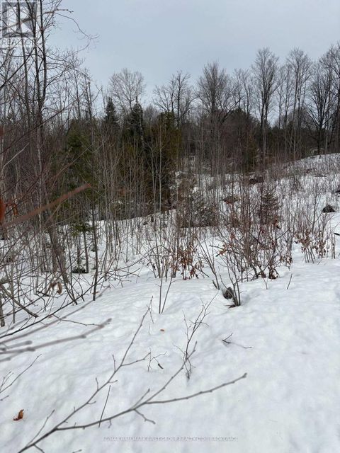 LOT 0 COUNTY ROAD 38 Frontenac (Frontenac Centre) ON K0H2P0