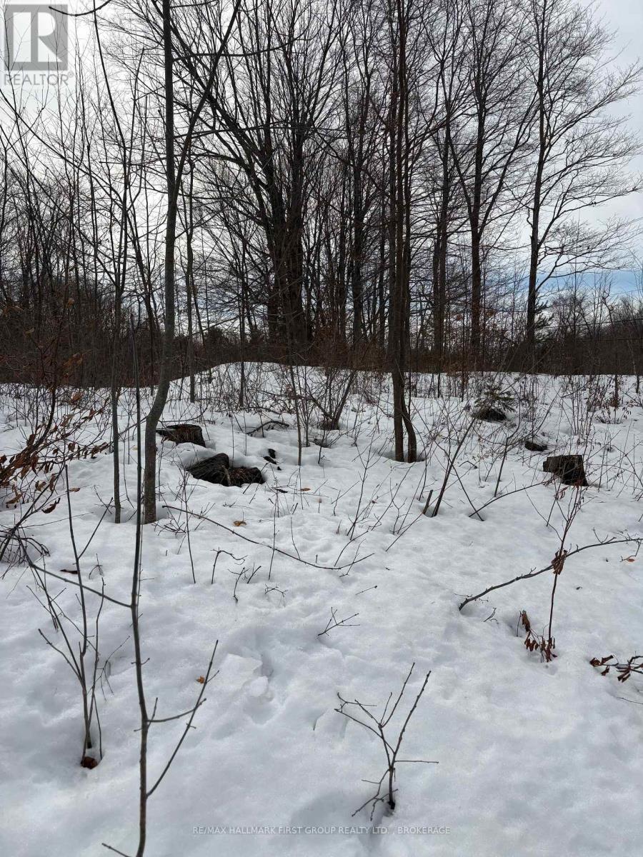 LOT 0 COUNTY ROAD 38