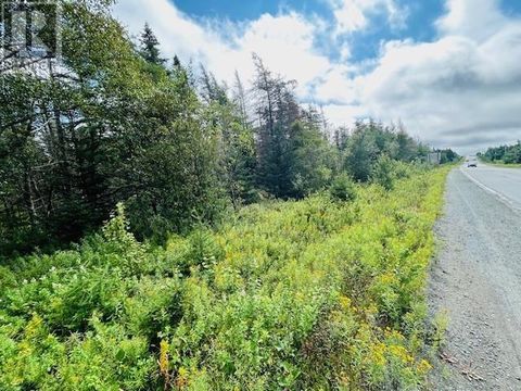 Route 80 Blaketown Blaketown NF A0B1C0