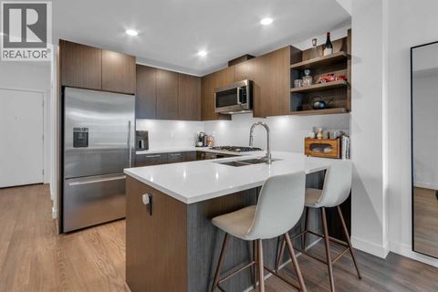 227, 88 9 Street NE Calgary AB T2E4E1