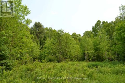 1527 MADILL ROAD Highlands East (Monmouth) ON K0M1R0