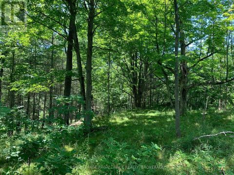 LOT 4 LEVEQUE ROAD South Frontenac (Frontenac South) ON K0H2W0