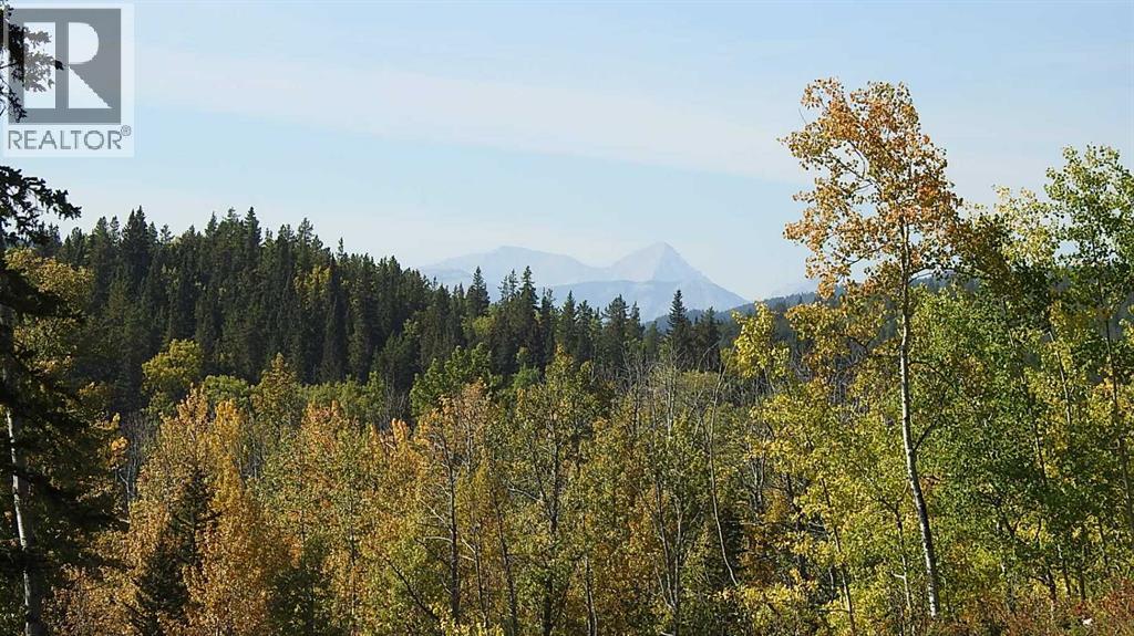 108 Acres bordering Kananaskis