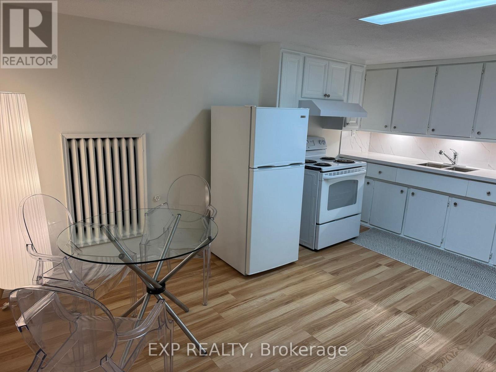 BASEMENT - 227 EVELYN AVENUE