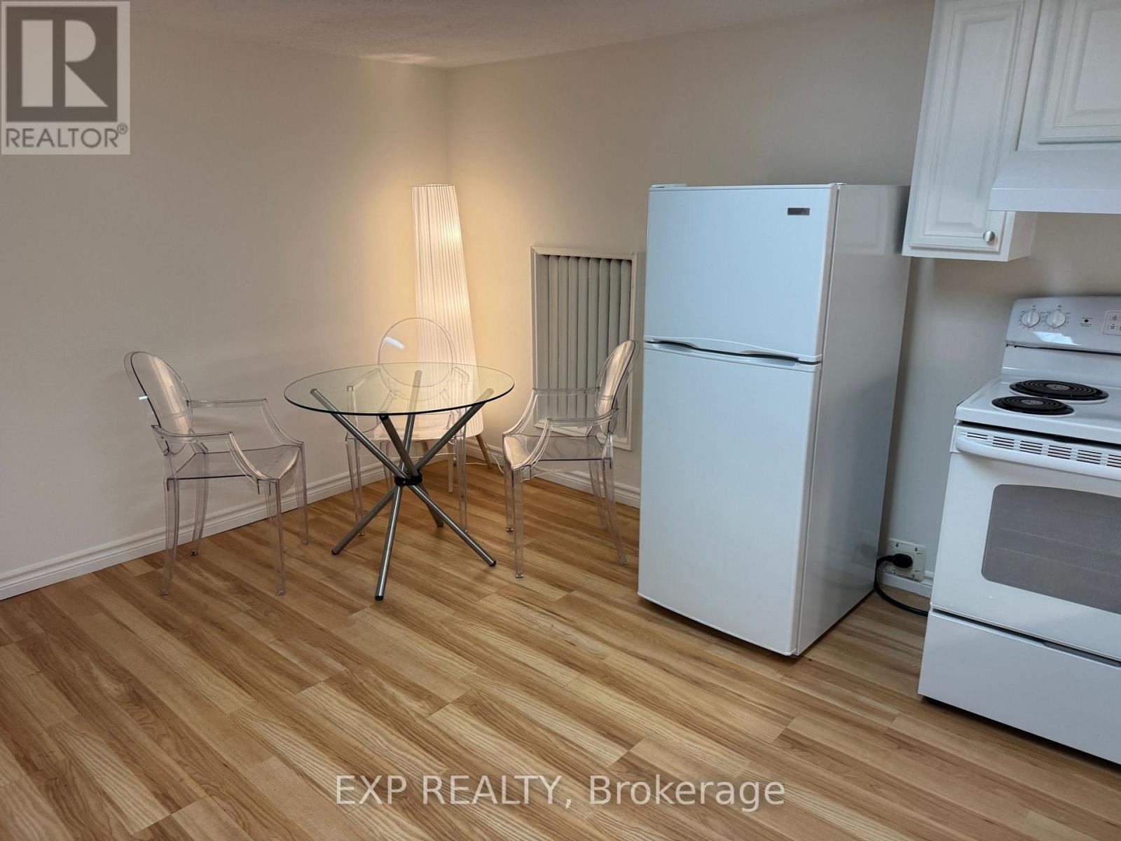 BASEMENT - 227 EVELYN AVENUE