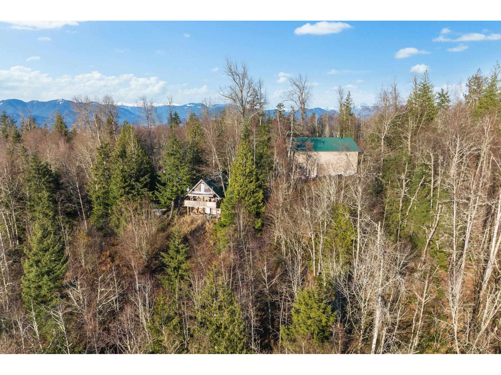 49780 LOOKOUT ROAD|Ryder Lake