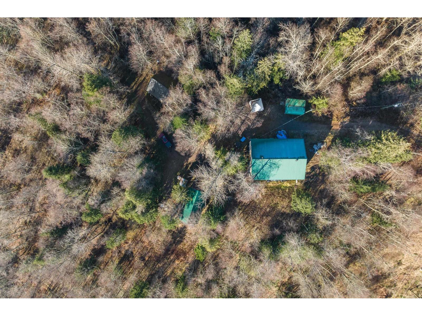 49780 LOOKOUT ROAD|Ryder Lake
