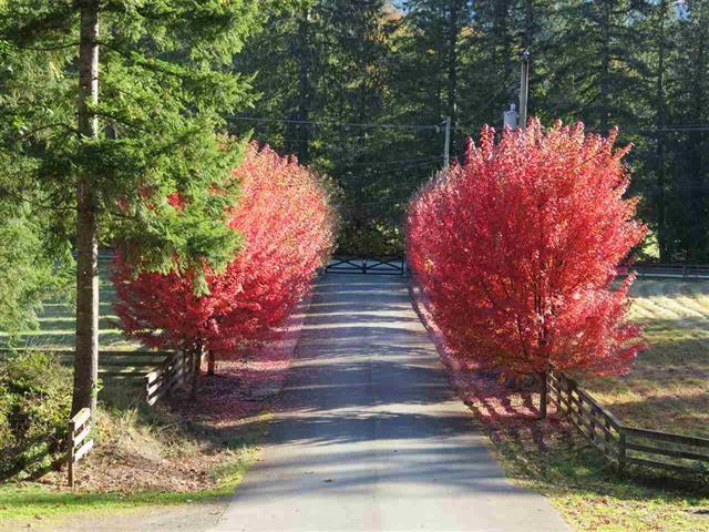 1400 MAPLE ROCK DRIVE|Columbia Valley