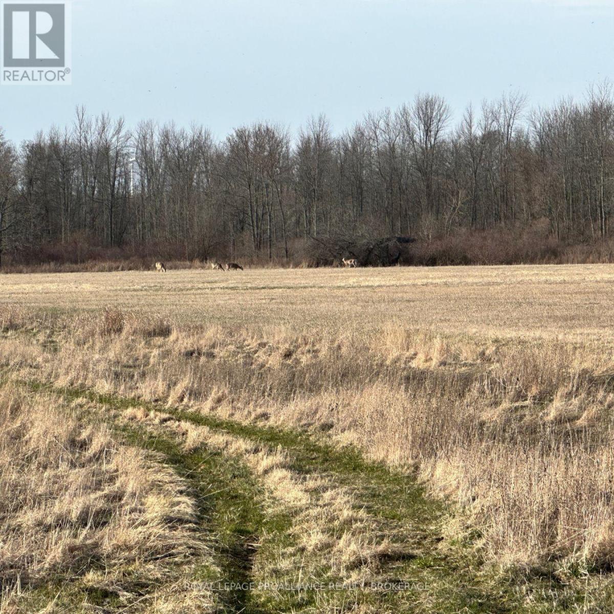 68 3RD CONCESSION ROAD