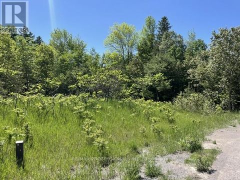 21 LAVER CRESCENT Trent Lakes ON K0K3K0