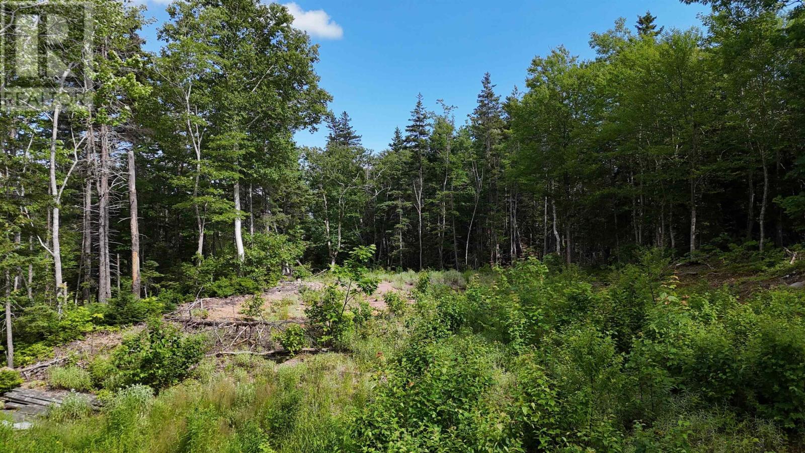 Lot 5 Cabot Trail