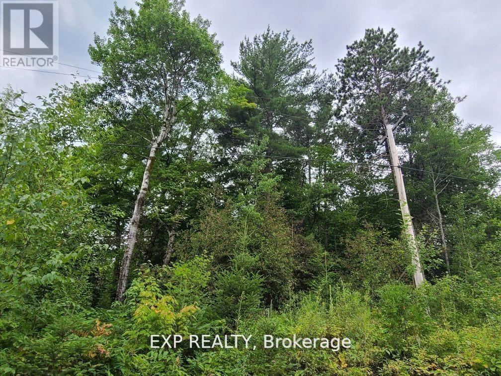 Photo 1 of 24 — 20 PEPLINSKIE HOMESTEAD ROAD, Madawaska Valley, ON K0J1B0