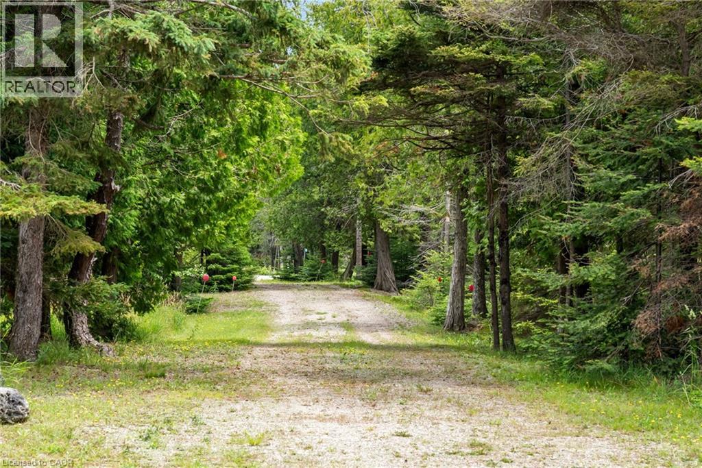 1020 DORCAS BAY Road