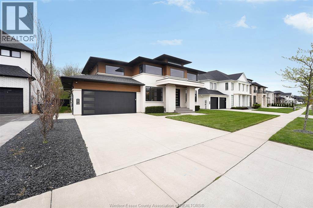 6013 SILVER MAPLE