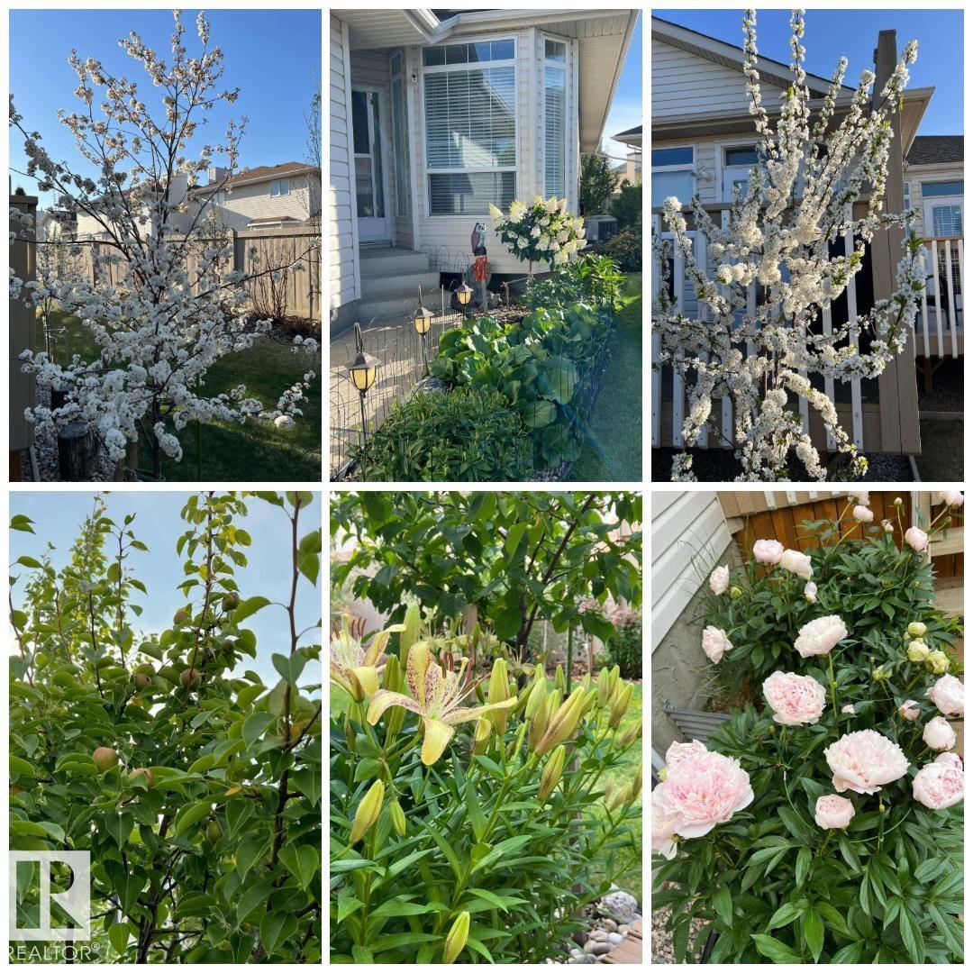 #19 1659 JAMHA RD NW