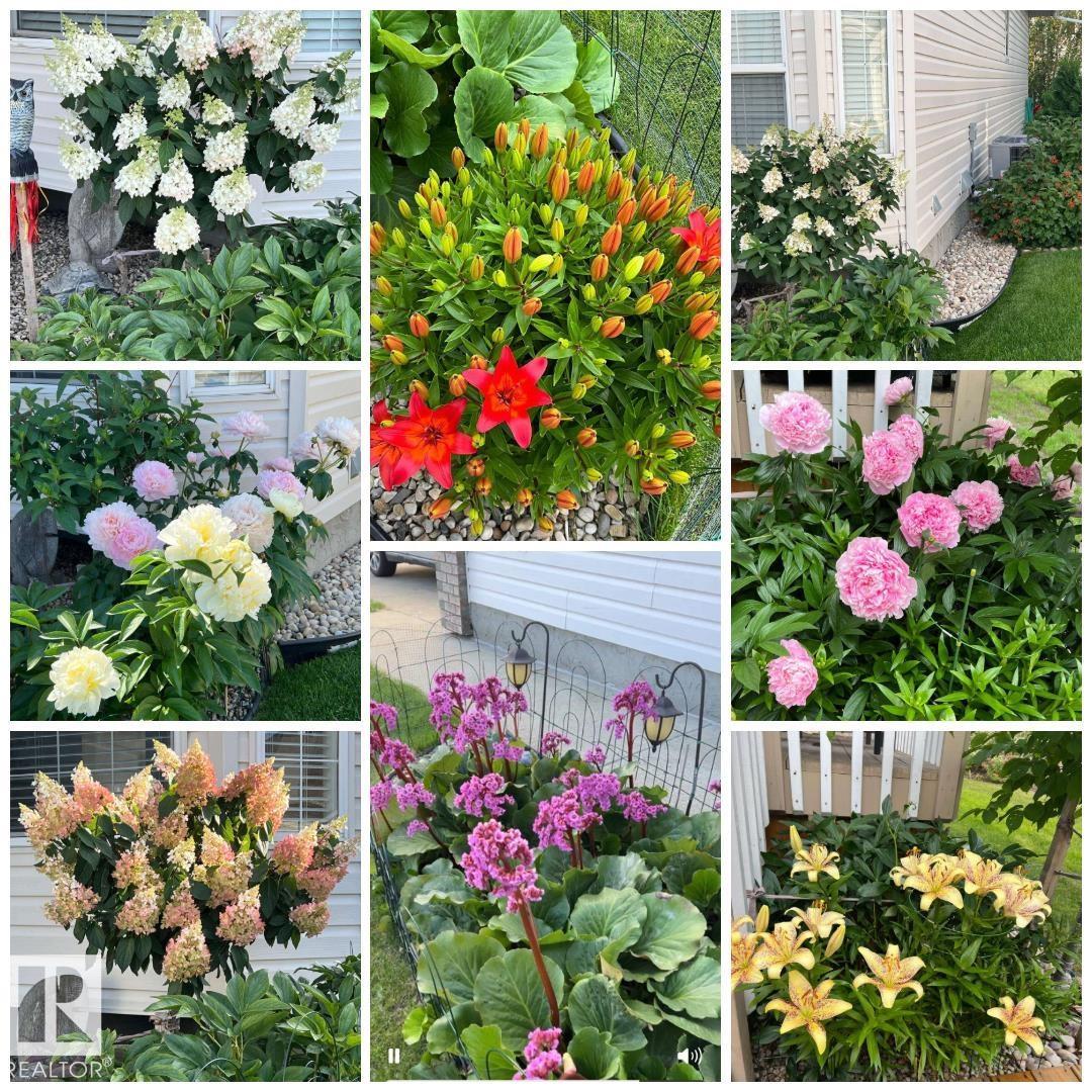 #19 1659 JAMHA RD NW