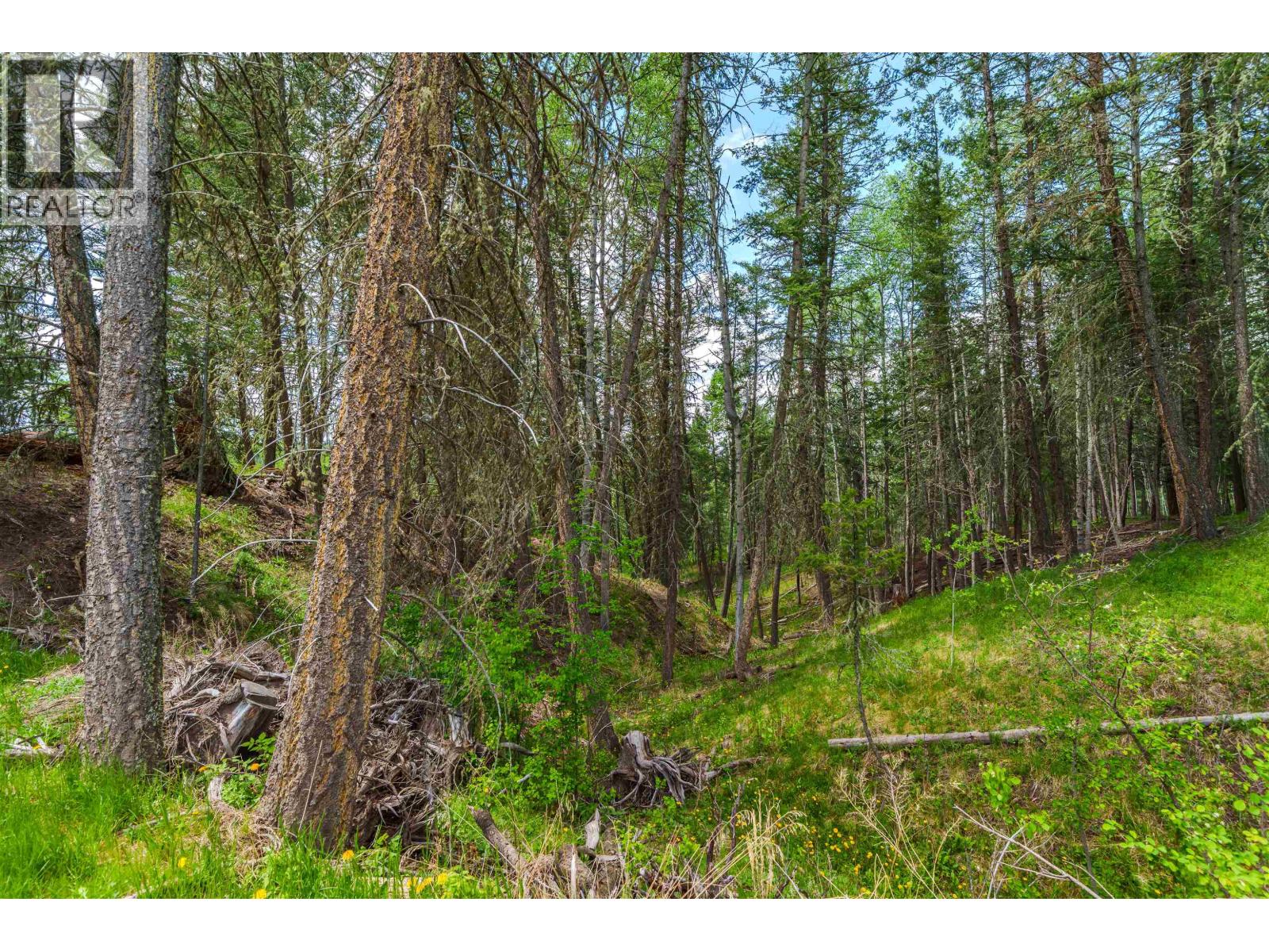 LOT 117 BLOCK DRIVE