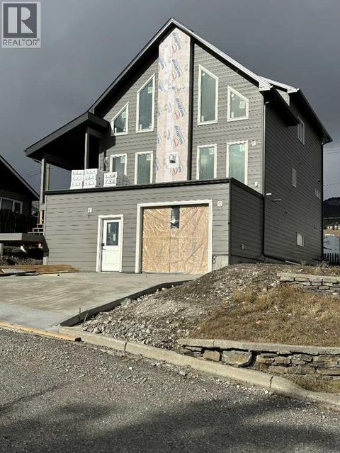 8305 18 Avenue Coleman AB T0K0M0