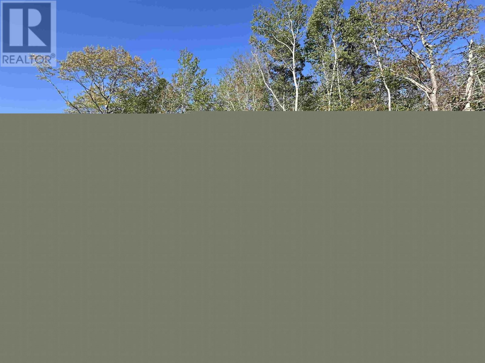 Lot 8 Shore Road - Photo 4