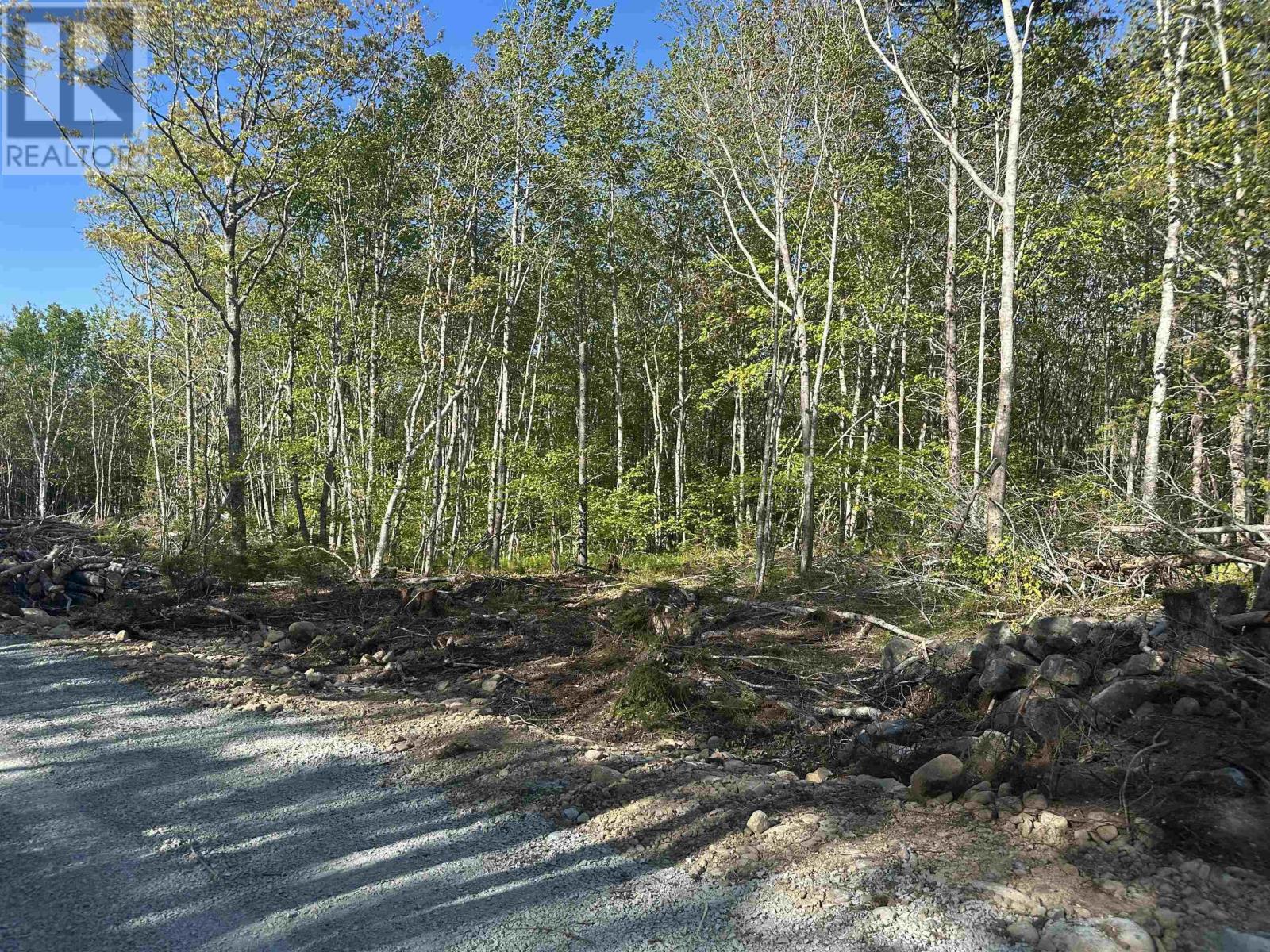 Lot 8 Shore Road - Photo 3