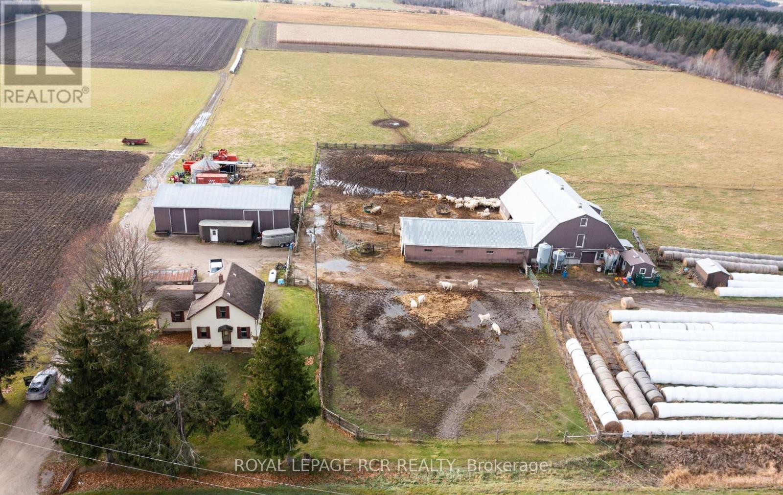 553456 MONO AMARANTH TOWNLINE