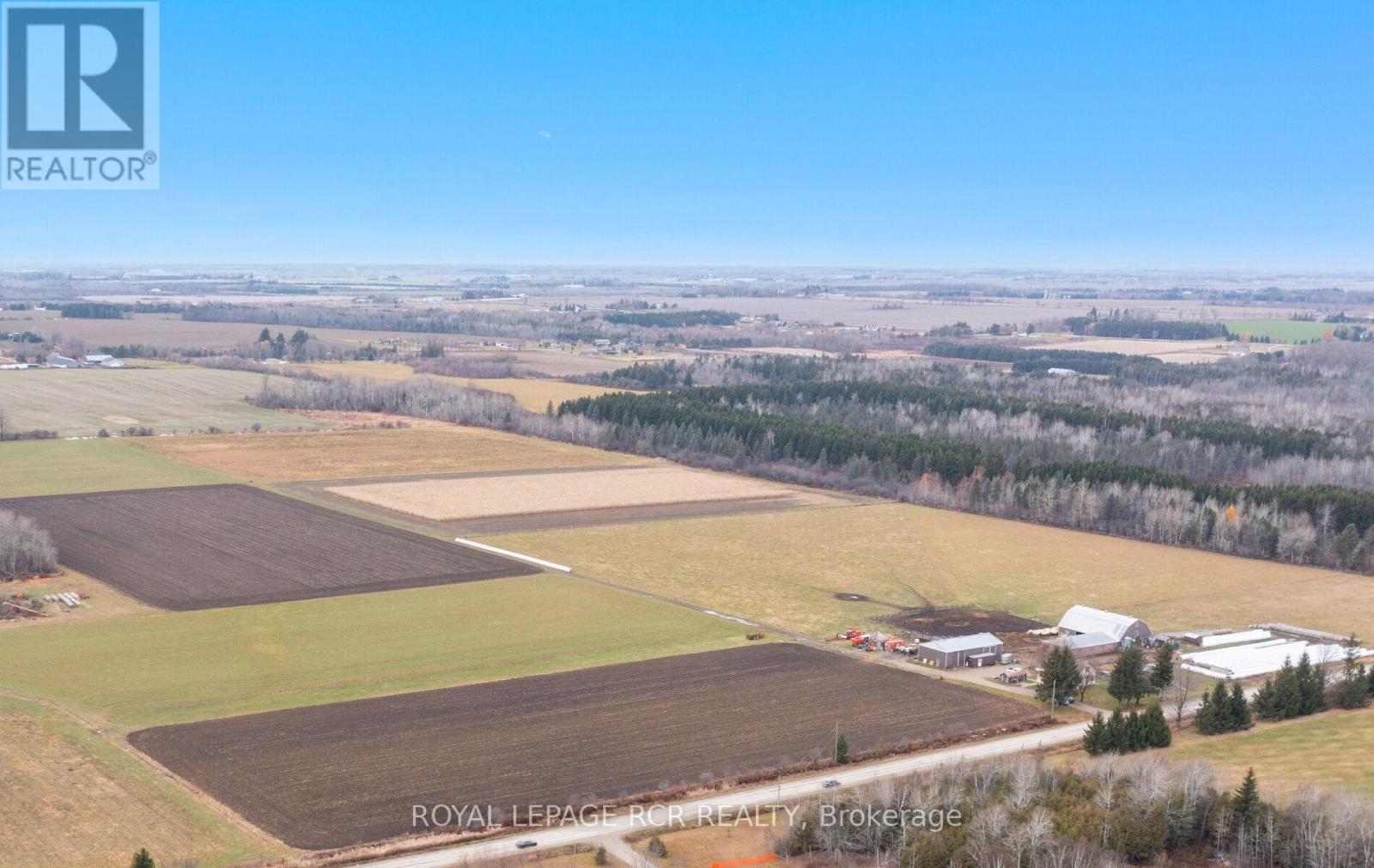 553456 MONO AMARANTH TOWNLINE