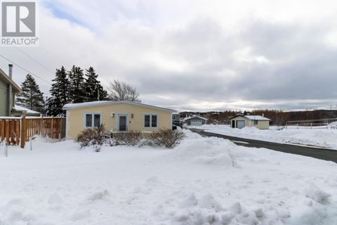 19 Gosses Lane Torbay NF A1K1J6