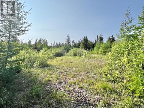 437 Main Street Northern Arm NF A0H1E0