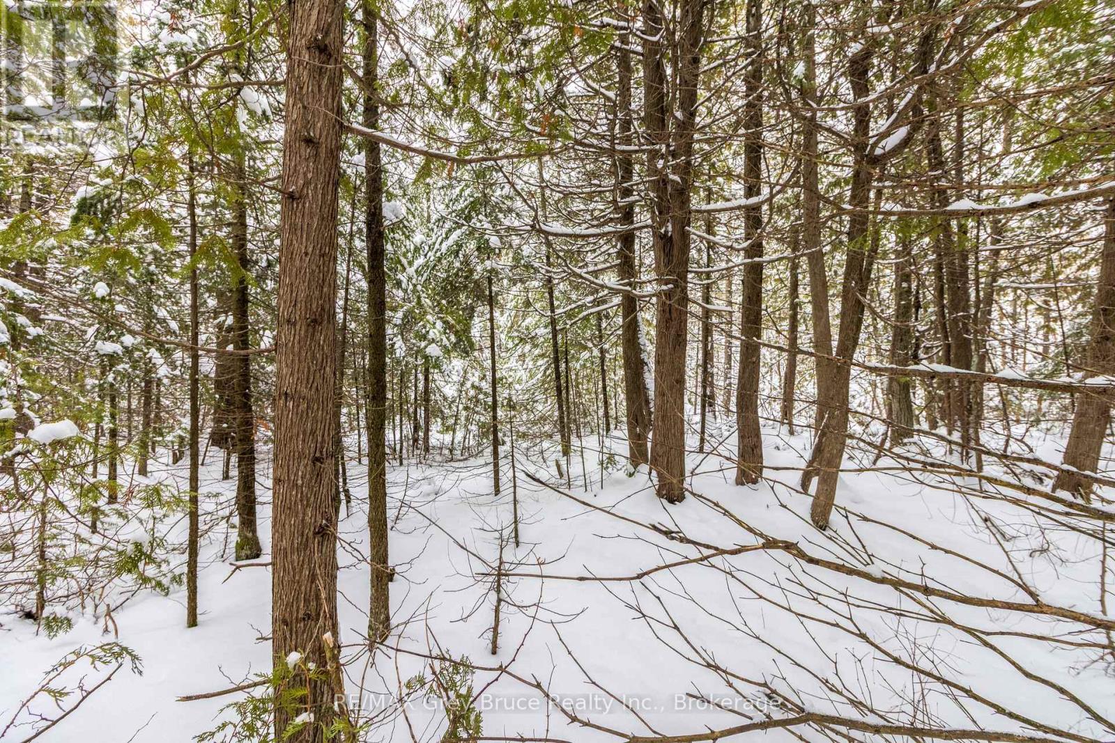 FM LT 4 NICHOLAS STREET