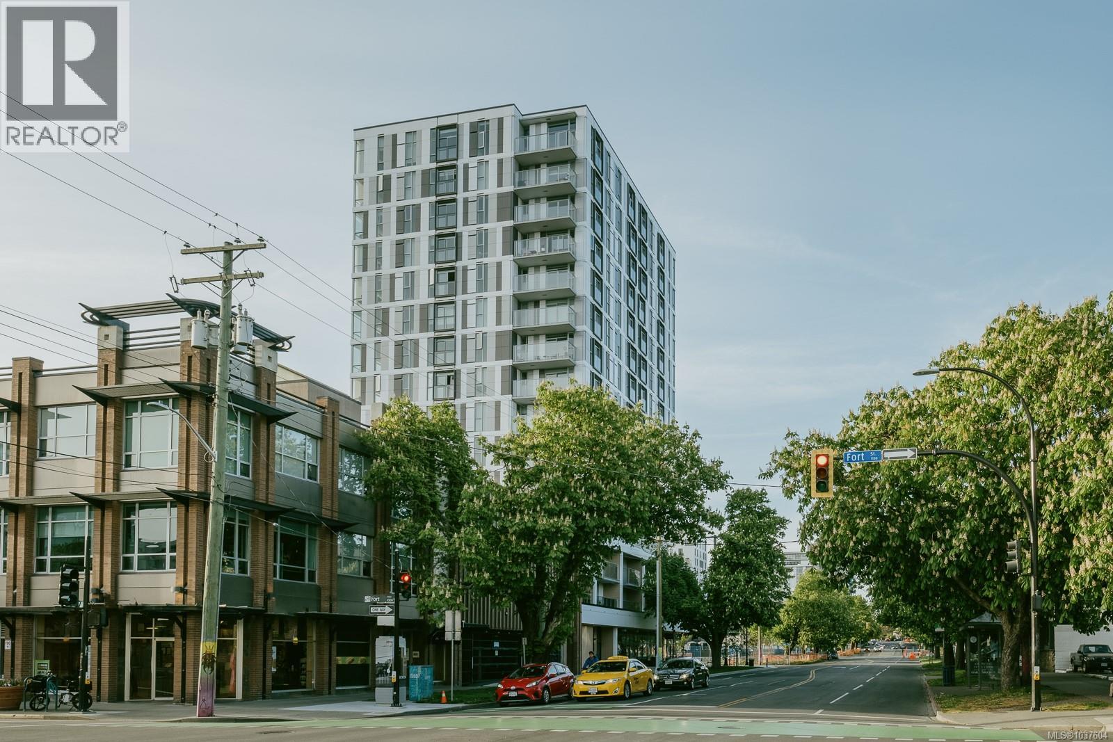 705 1097 View St