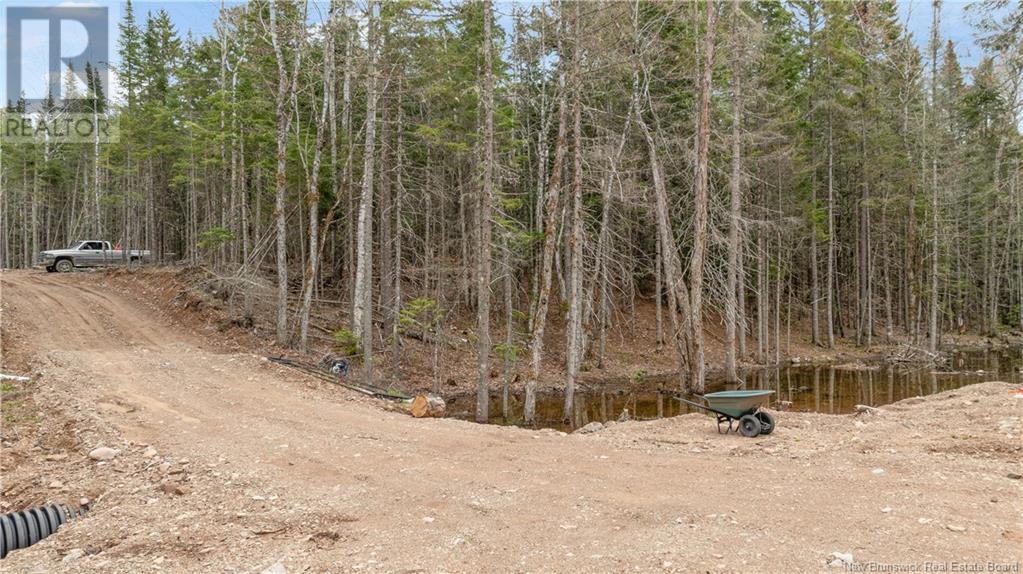 599 Parkindale Road