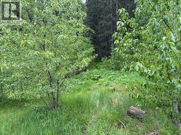 229 Mountain Lion Drive Bragg Creek AB T0L0K0
