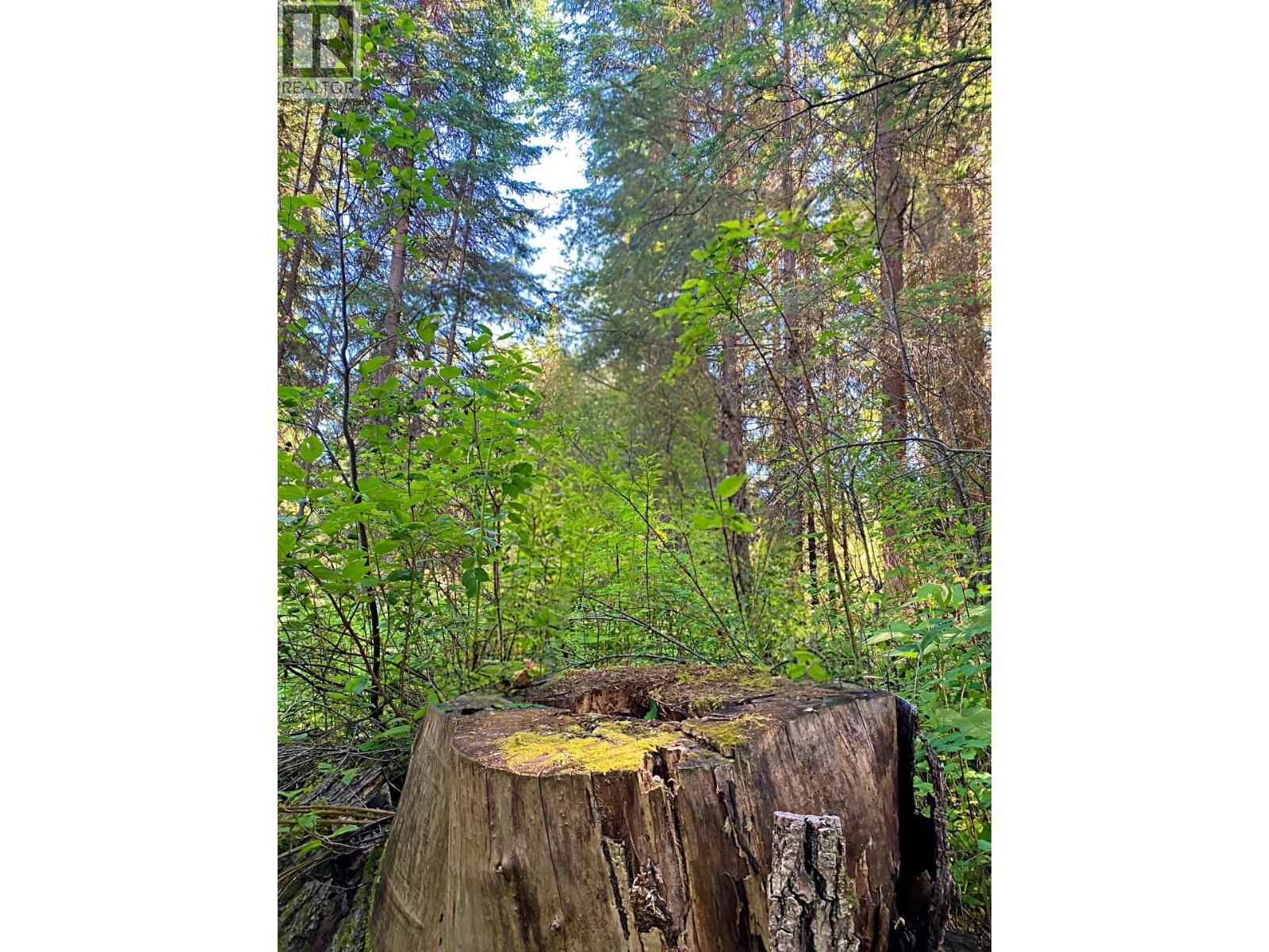 Lot 2 DL11991 HORSEFLY-QUESNEL LAKE ROAD
